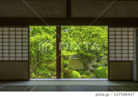 妙顕寺　客殿から見える四海唱導の庭 117596437