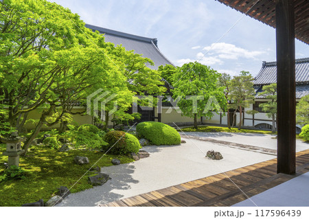 妙顕寺 四海唱導の庭 妙顕寺 四海唱導の庭 117596439