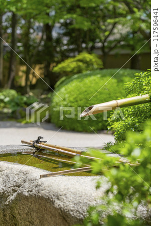 大本山妙顯寺(妙顕寺)蹲 手水鉢 大本山妙顯寺(妙顕寺)蹲 手水鉢 117596441
