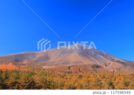 【長野県】快晴の浅間山の紅葉 117596540