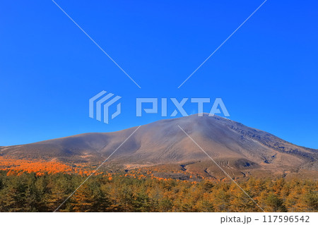 【長野県】快晴の浅間山の紅葉 117596542