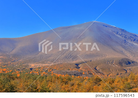 【長野県】快晴の浅間山の紅葉 【長野県】快晴の浅間山の紅葉 117596543