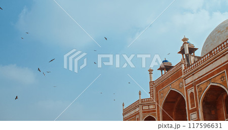 New Delhi, Delhi, India. Birds flying around of Humayun's tomb. Black kite - Milvus migrans - is a bird of prey in the family Accipitridae, which also includes many other diurnal raptors. Famous place 117596631