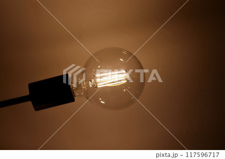 LED電球のヴィンテージ風ライト 117596717
