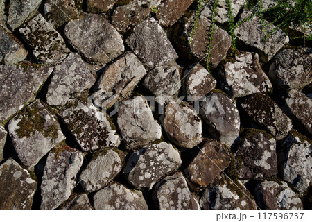 古くから続く農家の打ち込み接ぎの石垣　背景素材　テクスチャ 117596737