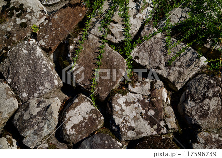 古くから続く農家の打ち込み接ぎの石垣　背景素材　テクスチャ 117596739