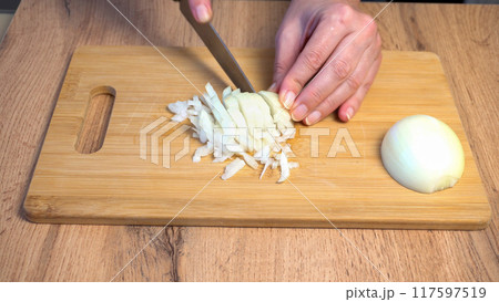 Slicing Onion on Cutting Board Slicing Onion on Cutting Board 117597519