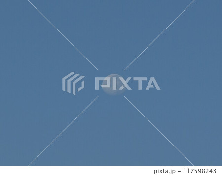 青空に浮かぶ上弦の月 117598243