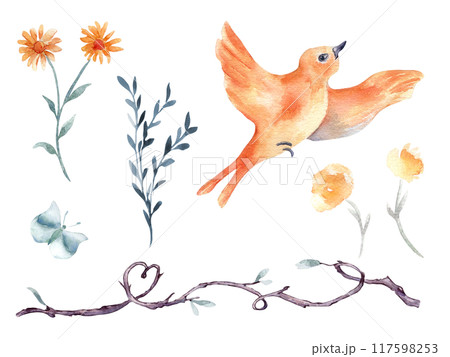 Floral set of flying bird and flowers hand drawn watercolor isolated. Bird in flight, butterfly illustration in botanical sketch. Colorful plant elements, twig shaped heart for textile, child design. 117598253
