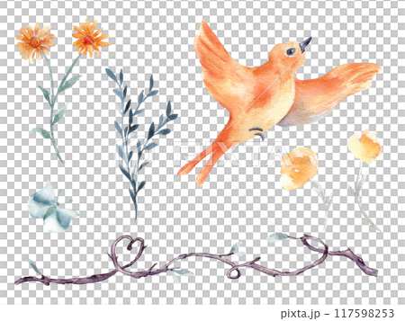 Floral set of flying bird and flowers hand drawn watercolor isolated. Bird in flight, butterfly illustration in botanical sketch. Colorful plant elements, twig shaped heart for textile, child design. 117598253