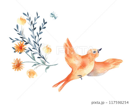 Bird orange plumage flying and flowers bunch hand drawn watercolor isolated. Bird in flight floral illustration in botanical sketch. Avian illustration for greeting card. Colorful bird oriole painted. 117598254