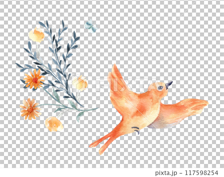 Bird orange plumage flying and flowers bunch hand drawn watercolor isolated. Bird in flight floral illustration in botanical sketch. Avian illustration for greeting card. Colorful bird oriole painted. 117598254