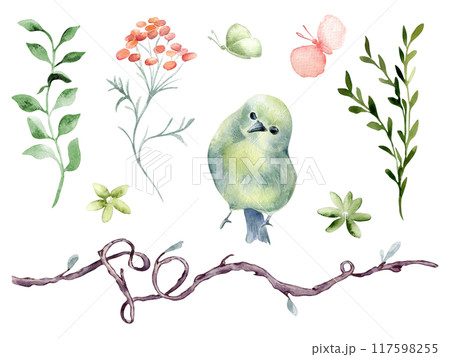 Bird round body green yellow, flowers and branches hand drawn watercolor. Pink butterfly, simple floral elements shaped heart in botanical sketch. Cute avian set for design child textile, home. 117598255