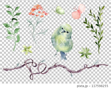 Bird round body green yellow, flowers and branches hand drawn watercolor. Pink butterfly, simple floral elements shaped heart in botanical sketch. Cute avian set for design child textile, home. 117598255