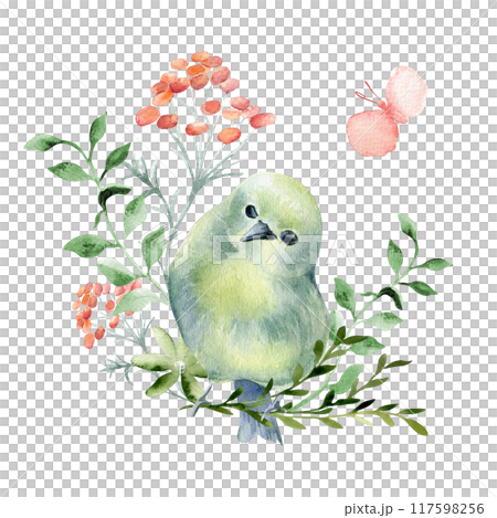 Bird round body green yellow colors and floral elements hand drawn watercolor. Pink butterfly, birdie and simple flowers in botanical sketch. Greenfinch, leafbird painted for cute avian illustration. 117598256