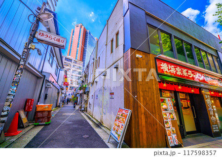 日本の東京都市景観 8月。三軒茶屋駅すぐの飲み屋街などを望む 日本の東京都市景観 8月。三軒茶屋駅すぐの飲み屋街などを望む 117598357