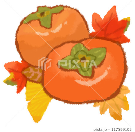 美味しそうな柿と秋の葉っぱ 美味しそうな柿と秋の葉っぱ 117599103