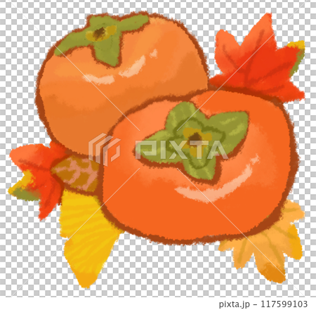 美味しそうな柿と秋の葉っぱ 美味しそうな柿と秋の葉っぱ 117599103