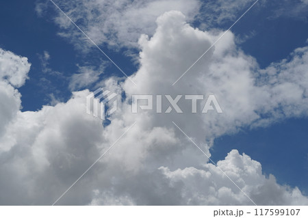 夏の青空と白い雲 117599107