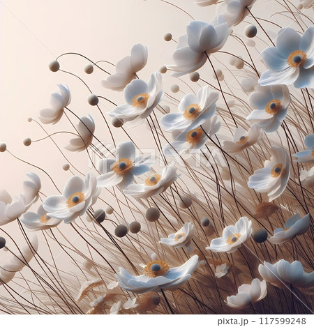 風に揺れる秋明菊の美 117599248