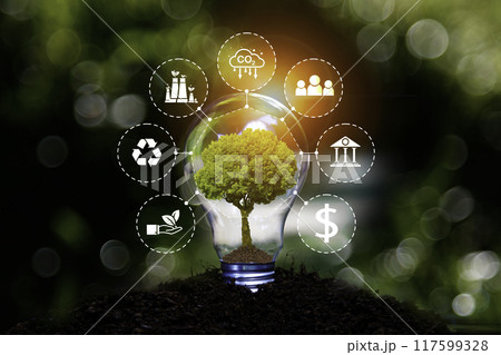 eco green energy system. Green tree in light bulb on grass nature, Net zero in 2050 year. Green energy icon around it. Carbon Neutral in industry. Net zero emission concept. Idea innovative. 117599328