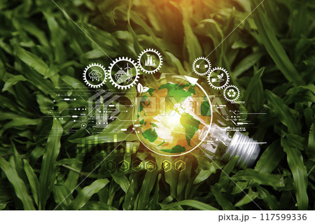 green energy system. Green tree in light bulb on grass nature background. Net zero in 2050 year. Green energy icon around it. Carbon Neutral in industry. Net zero emission concept. Idea innovative 117599336