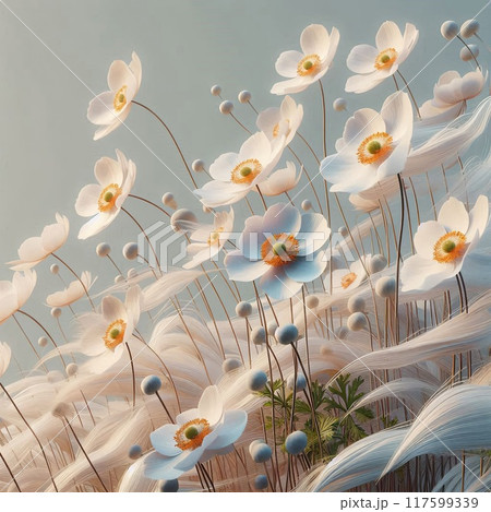 白い秋明菊と風のハーモニー 117599339