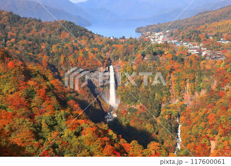 【栃木県】晴天の華厳の滝の紅葉(日光) 【栃木県】晴天の華厳の滝の紅葉(日光) 117600061