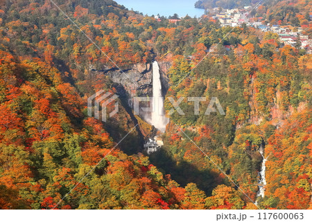 【栃木県】晴天の華厳の滝の紅葉(日光) 【栃木県】晴天の華厳の滝の紅葉(日光) 117600063