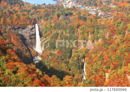 【栃木県】晴天の華厳の滝の紅葉(日光) 【栃木県】晴天の華厳の滝の紅葉(日光) 117600066
