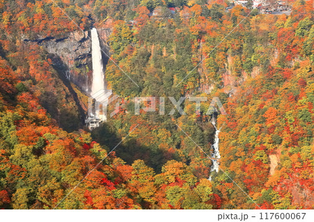 【栃木県】晴天の華厳の滝の紅葉(日光) 【栃木県】晴天の華厳の滝の紅葉(日光) 117600067