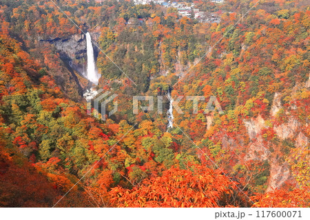 【栃木県】晴天の華厳の滝の紅葉（日光） 117600071