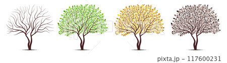 Tree four seasons. Winter, Spring, Summer, Autumn. Detailed leaves vector. 117600231