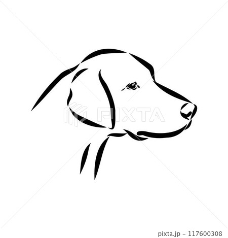 Happy American Foxhound peeking dog. Foxhound portrait. Black and white vector illustration. 117600308