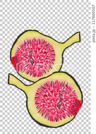 手描きの水彩画(絵手紙)「イチジクの断面」二個 117600507