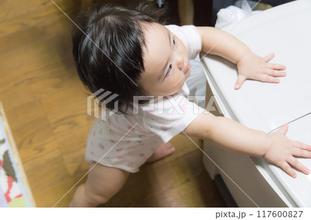 【キッチンでゴミ箱につかまり立ちをする赤ちゃん】 【キッチンでゴミ箱につかまり立ちをする赤ちゃん】 117600827