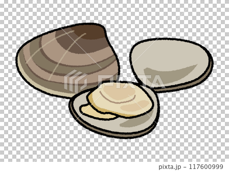 蛤蜊插圖 蛤蜊插圖 117600999