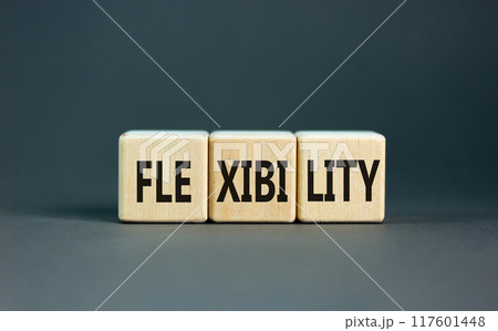 Flexibility symbol. Concept word Flexibility on beautiful wooden blocks. Beautiful grey background. Business flexibility concept. Copy space. Flexibility symbol. Concept word Flexibility on beautiful wooden blocks. Beautiful grey background. Business flexibility concept. Copy space. 117601448