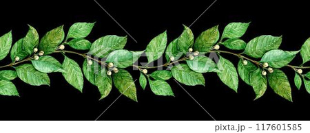 Laurel seamless pattern. Horizontal border with green leaves. Hand drawn watercolor illustration for invitations, greetings, photos, text. Antique symbol of victory, gain. 117601585