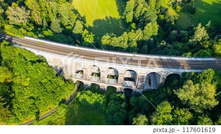 Aerial view of the Sychrov Railway Bridge showcasing its arches above lush greenery, highlighting the natural landscape in Czechia. 117601619