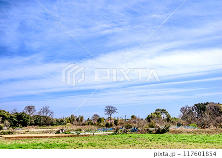 春の農村風景 春の農村風景 117601854