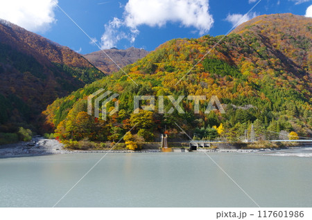南アルプス・奈良田湖の紅葉 117601986