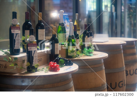 夏の軽井沢　旧軽銀座　チャーチストリートの街並み 117602300