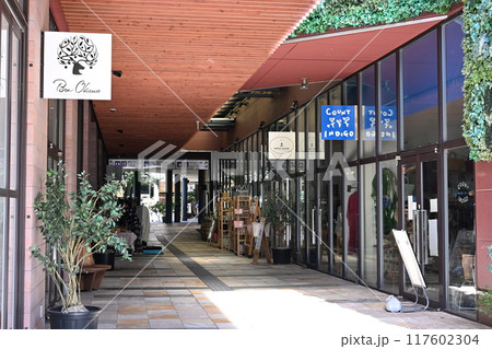 夏の軽井沢　旧軽銀座　チャーチストリートの街並み 117602304