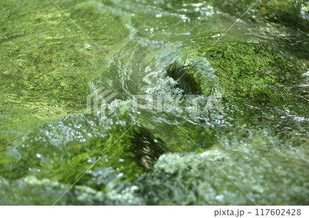 小川の水の流れ 小川の水の流れ 117602428