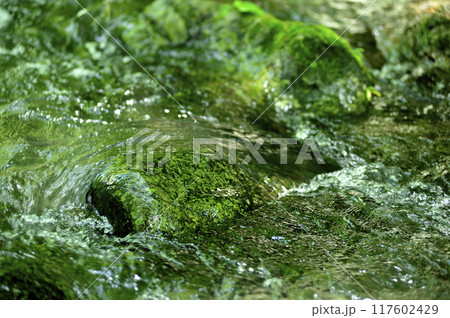 小川の水の流れ 小川の水の流れ 117602429