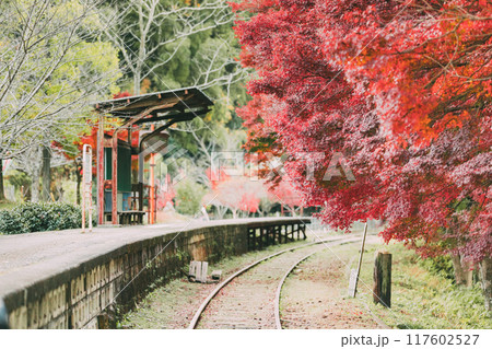 廃路線となった三河広瀬駅の紅葉 廃路線となった三河広瀬駅の紅葉 117602527