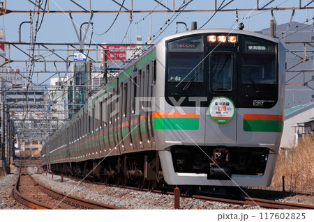 長大な編成を連ねて有名撮影地を通過する東海道線E217系電車_2010/3/11撮影 117602825