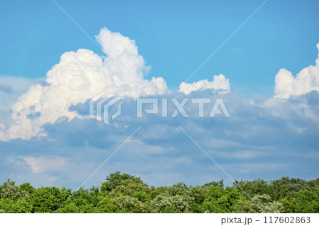 夏の雲と木立 117602863