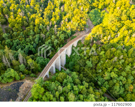 The stone railway bridge at Zampach elegantly arches through dense, green forest, showcasing a blend of engineering and nature in Czechia's scenic landscape. 117602900